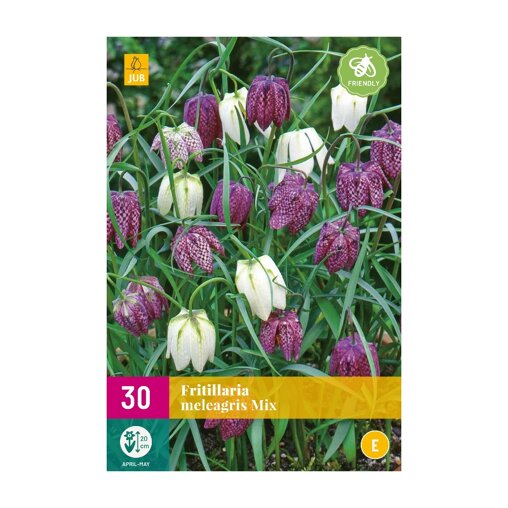 Kievitsbloem bollen Mix (XXL zak 30 stuks)